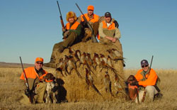Featured Pheasant Hunting Outfitters