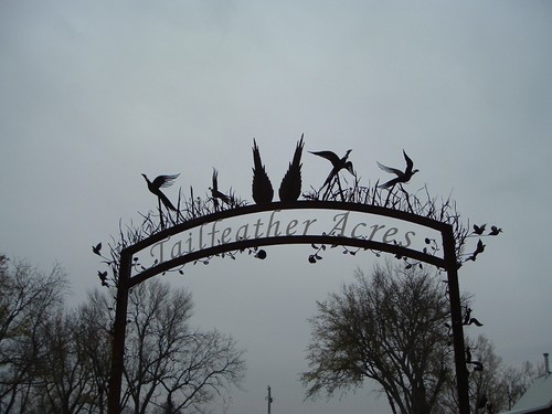 Tailfeather Acres
