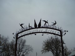 Tailfeather Acres
