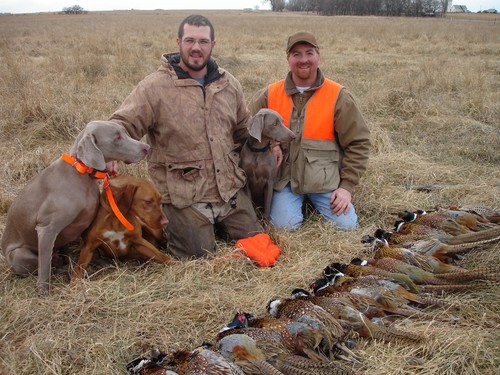 A1 Al's Pheasant Guides