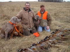 A1 Al's Pheasant Guides