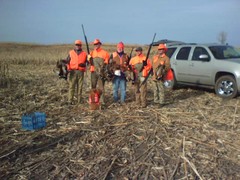 Day's Limit at A1 Al's