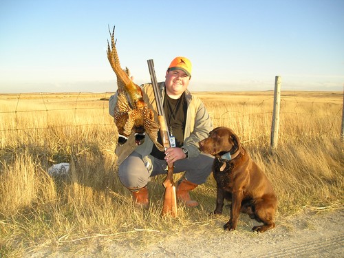 Late Season Roosters