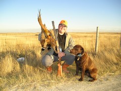 Late Season Roosters