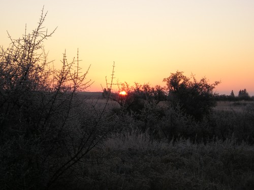 Alberta Sunrise