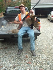 Ringless Rooster & Hen - Voluntown, CT