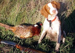 Maggie Mae's 1st Bird