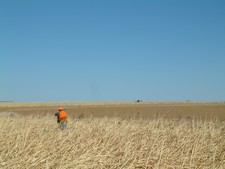 Hunter Shooting Rooster